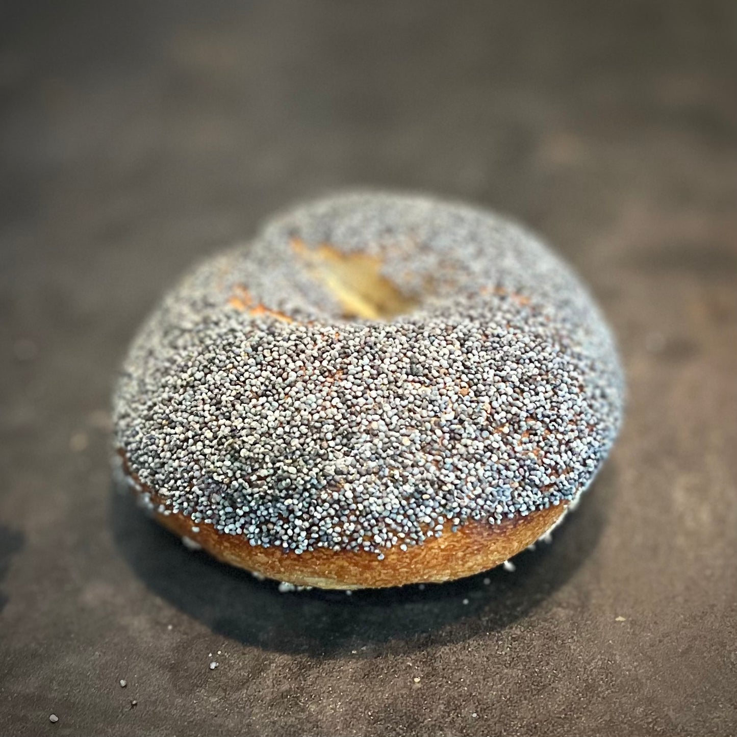 POPPYSEED BAGEL