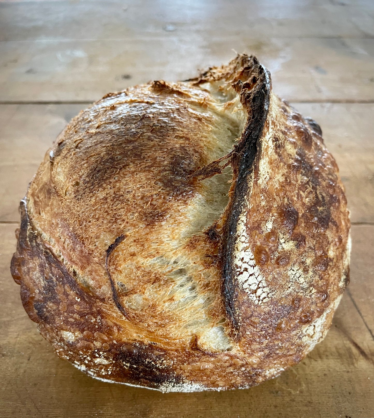 SOURDOUGH COASTAL LOAF