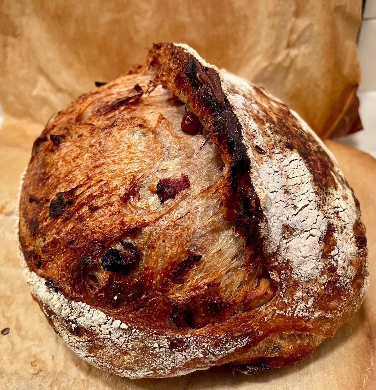 CRANBERRY WALNUT SOURDOUGH