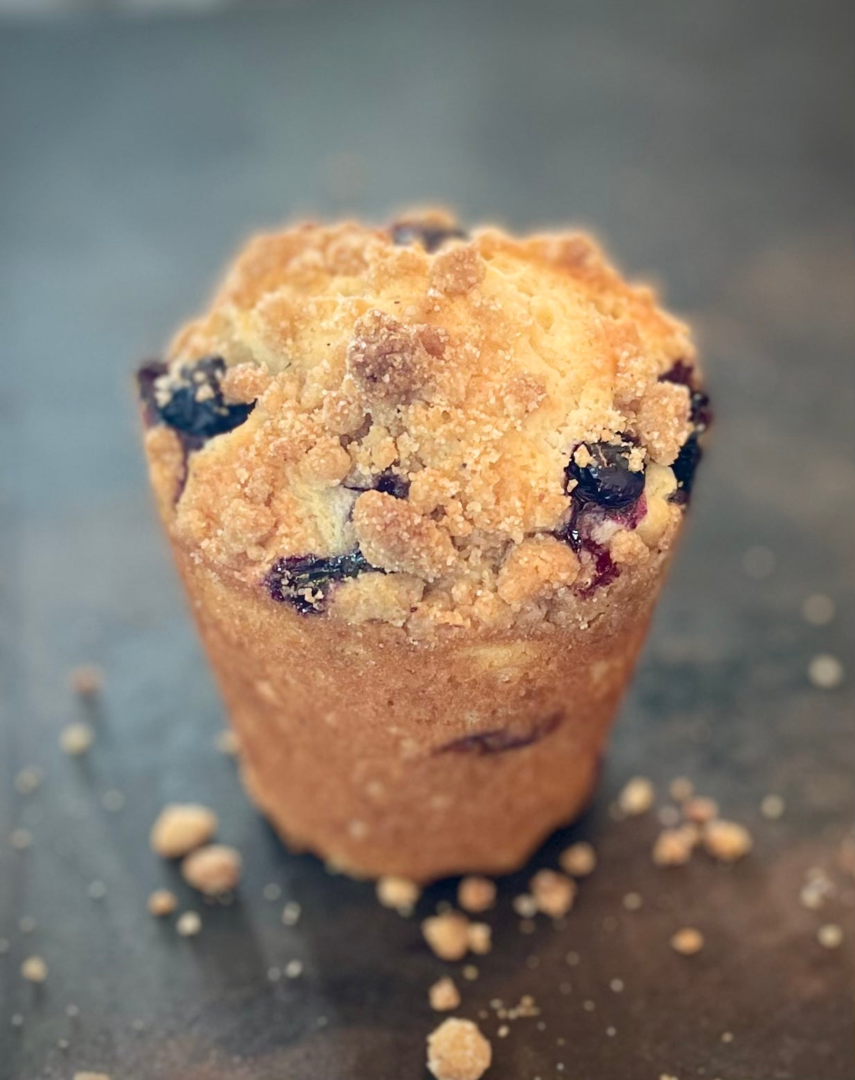 JUMBO BLUEBERRY MUFFIN